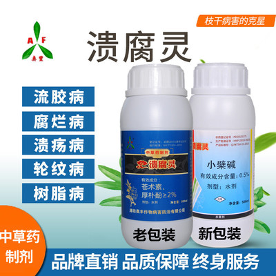 桃树流胶病发生原因鹰嘴蜜桃流胶病如何防治 溃腐灵