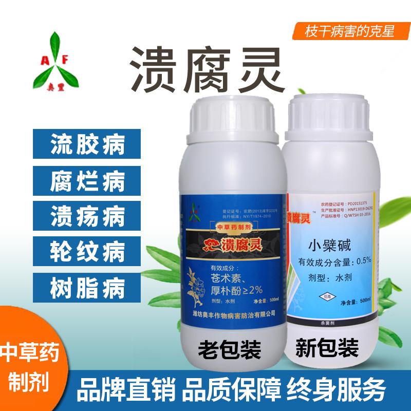 桃树流胶病发生原因鹰嘴蜜桃流胶病如何防治 溃腐灵