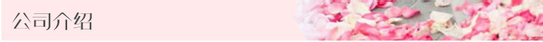 公司介绍.jpg