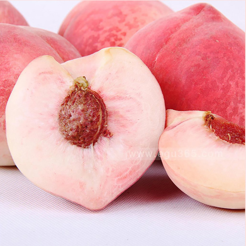 金秋红蜜 映霜红 脆甜的口感 大果4.5-5斤晚熟蜜桃 金秋红蜜|ru