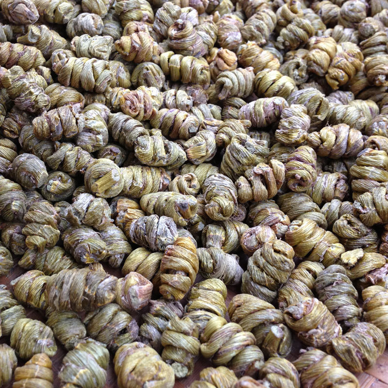 浙江本地铁皮枫斗开花前肉质饱满 胶多粘芽渣少|ru