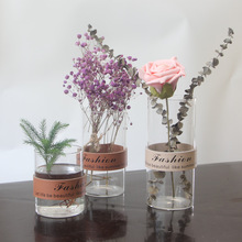 Nordic nhà sáng tạo nhỏ gọn hoa ly da cắm hoa khô cây thủy canh vase đồ trang trí trong suốt Bình hoa
