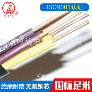 �S�ҹ��� KVV5*1ƽ��������| ���˿�����|