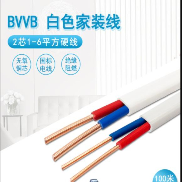 BVVB图片3