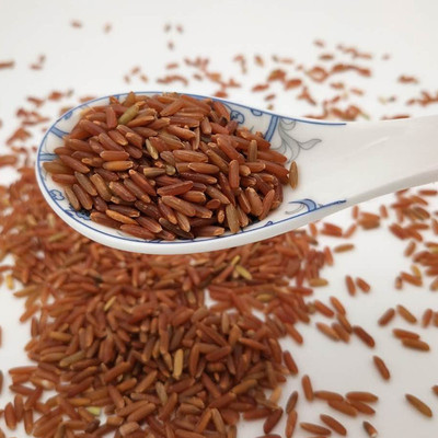 亦可食品红米批发红粳米农家红糙米红稻米红大米五谷杂粮散装500g