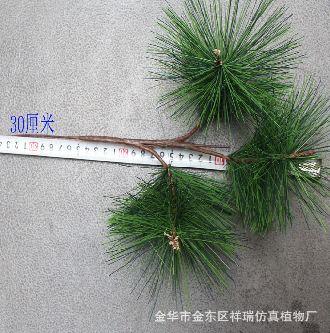 3头松针2.jpg