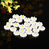 Universal white resin solar-powered with accessories, handmade, South Korea, 12mm, sunflower, wholesale