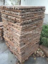 ����50�~β��  P60�����~β�A�� �f��܉�A�� P43�����܉�A��