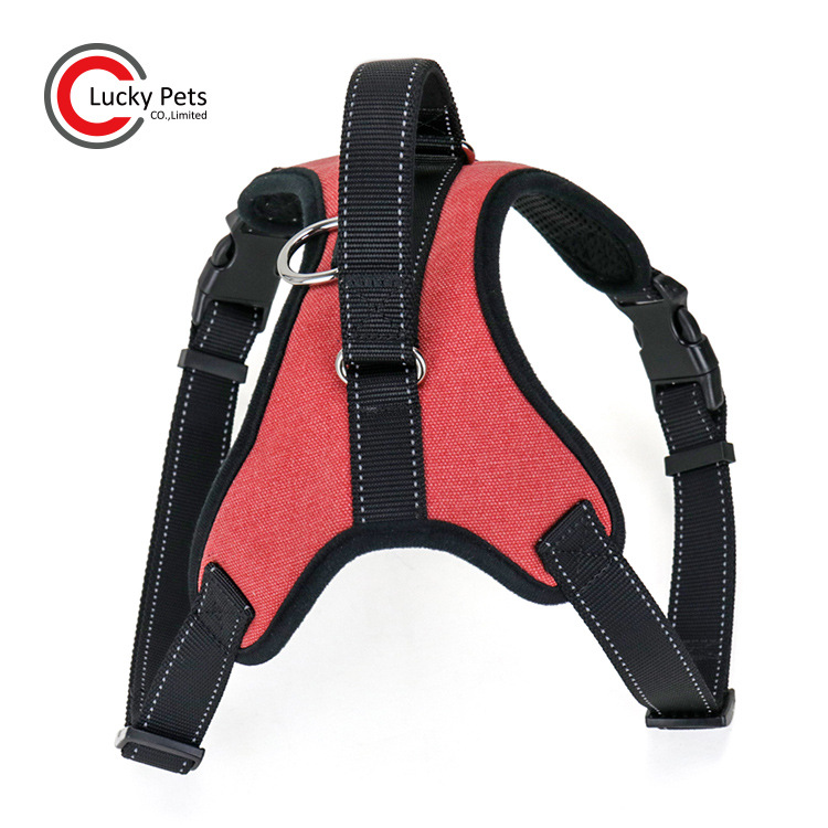 ó¿Ʒ дȮر ţзױ