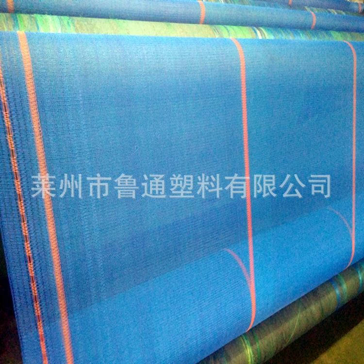 IMG_20180611_151103_副本