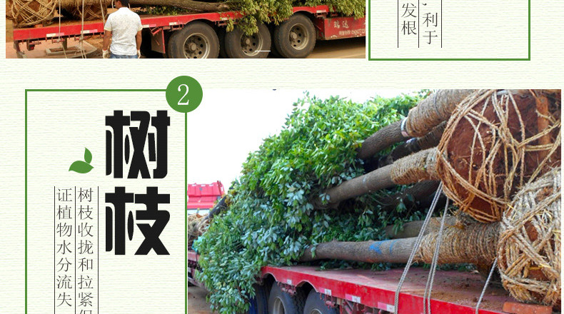 详情页_09.jpg