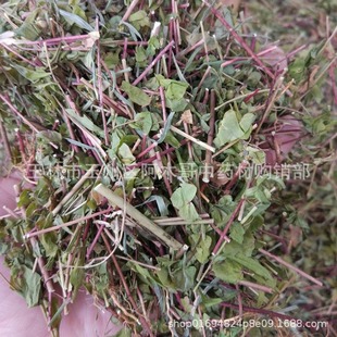 ��ɏ������ș�� ��؛�Ҵ�� �ϴ�� �s��� ��؈�۲� ��Ʒ