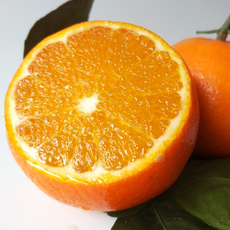 【爆款】廣西沃柑5斤裝批發 果園新鮮現摘水果多汁清甜