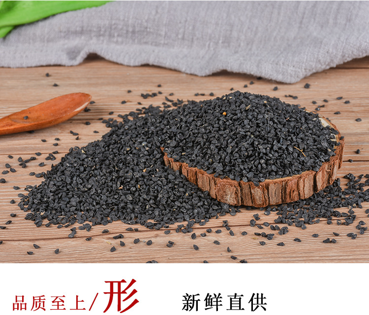 Cong Zi (Allium fistulosum) — Dried Welsh Onion Seeds, Food-Herb Botanical key features