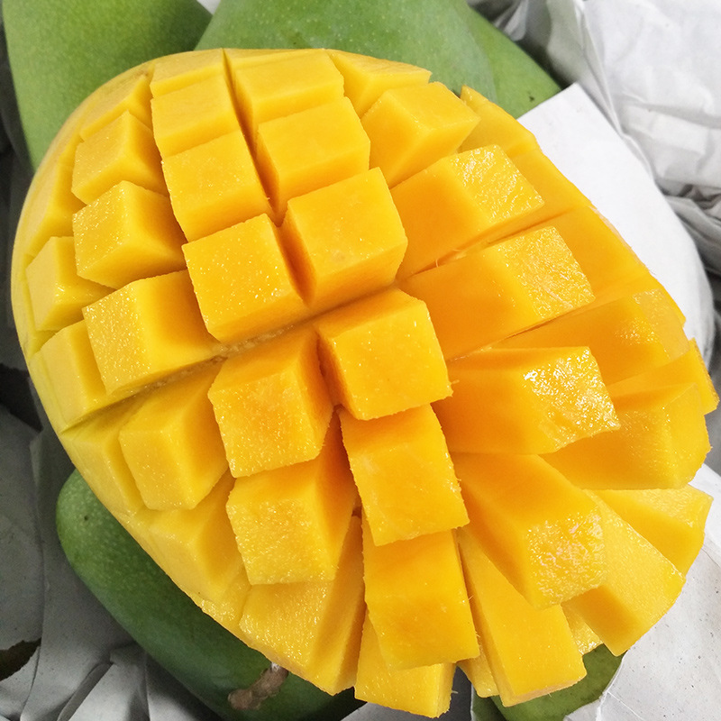 越南大青芒金煌芒甜心芒当季新鲜热带水果青皮芒现摘现发8斤包邮
