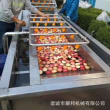 ����������ϴ������ �߲�������ϴ�豸 ����ʽ�߲���ϴ��