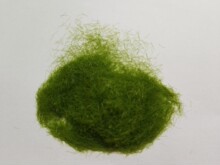 �S�ҹ����o�ֲ�q�që ֲ�q�� ������]��]ճ�z�������ƽqë