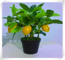 ���晎�ʘ� ���ʘ����� ����С���ә��ʘ� ���Ә����� �����ۘ�