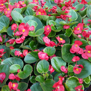 �ļ����� ������ õ�庣�ďS�����l �����^�pֲ�ﺣ�Ļ�