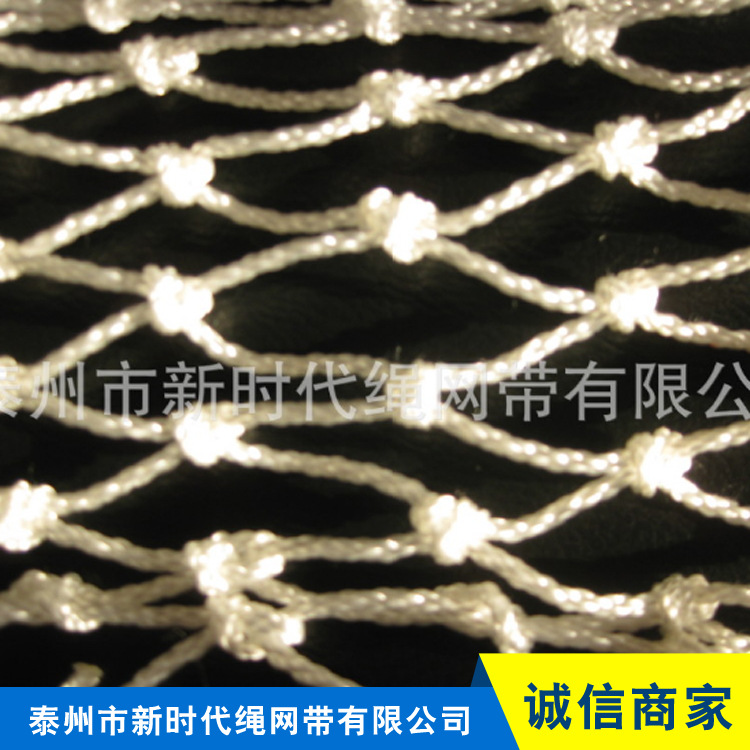 泰州市新时代绳网带有限公司 1阻燃安全网 照片 372 副本