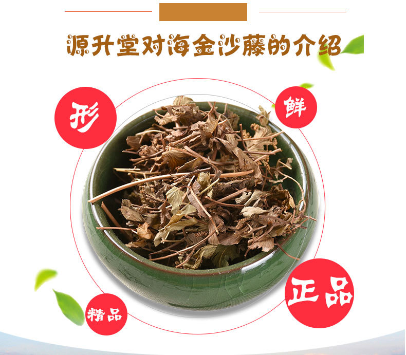 Hai Jin Sha Teng (Lygodium japonicum) — Dried Climbing Fern Herb, Unsulfured New Crop key features