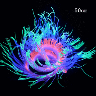 ˮ���~���쾰�b��z����ֲ��ܛ�wɺ���쾰����100cm�L