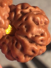 ���ձ��M���ϹϘ��P���p���y�w��ƽ�^���SƤС���������ӷ���