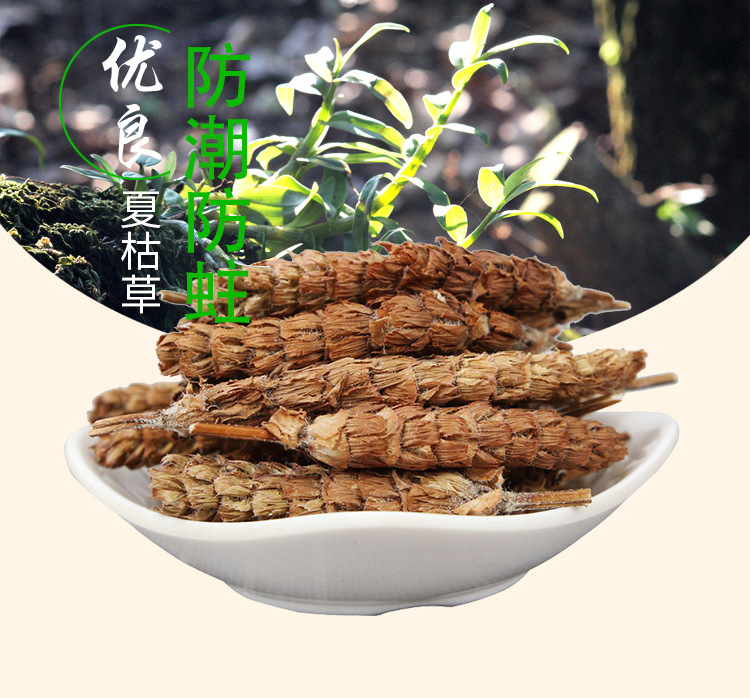 Xia Ku Qiu (Prunella vulgaris) — Dried Self-Heal Flower Spikes, Food Herb for Tea & Soup overview