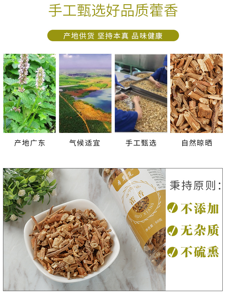 Huoxiang Tea (Agastache rugosa) — Dried Patchouli Herb, 60g Bottle for Herbal Blends overview