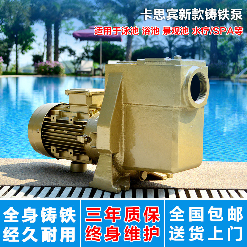 游泳池循环水处理设备泳池水泵循环过滤泵带毛发收集器水泵铸铁泵