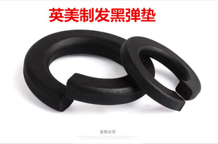 ưlڏ| _ډ|Ȧ ӢƏ| ɉ|Ȧ1/41-1/2ϵ