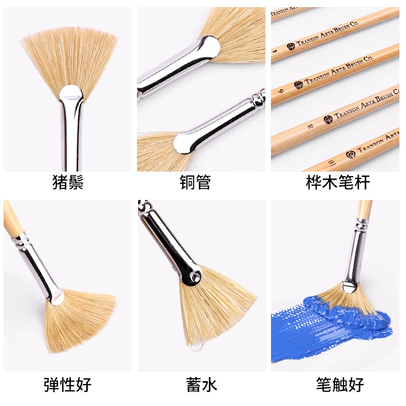 Fan Brush, Natural Boar Bristle, Wooden Handle, Sizes 1–10, 21 cm Length