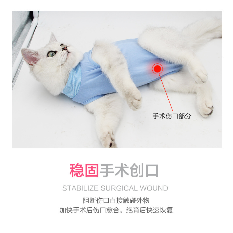 猫咪手术服母猫绝育服断奶服术后服防舔夏弹性宠物猫衣服猫术后服