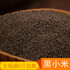 Wholesale thermal sale of agricultural products Black millet grain miscellaneous grain boiled porridge one piece of 500g and five pounds of free shipping