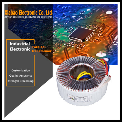 AC220V转AC12V24V300W全铜线环形电源变压器 音频功放音响变压器