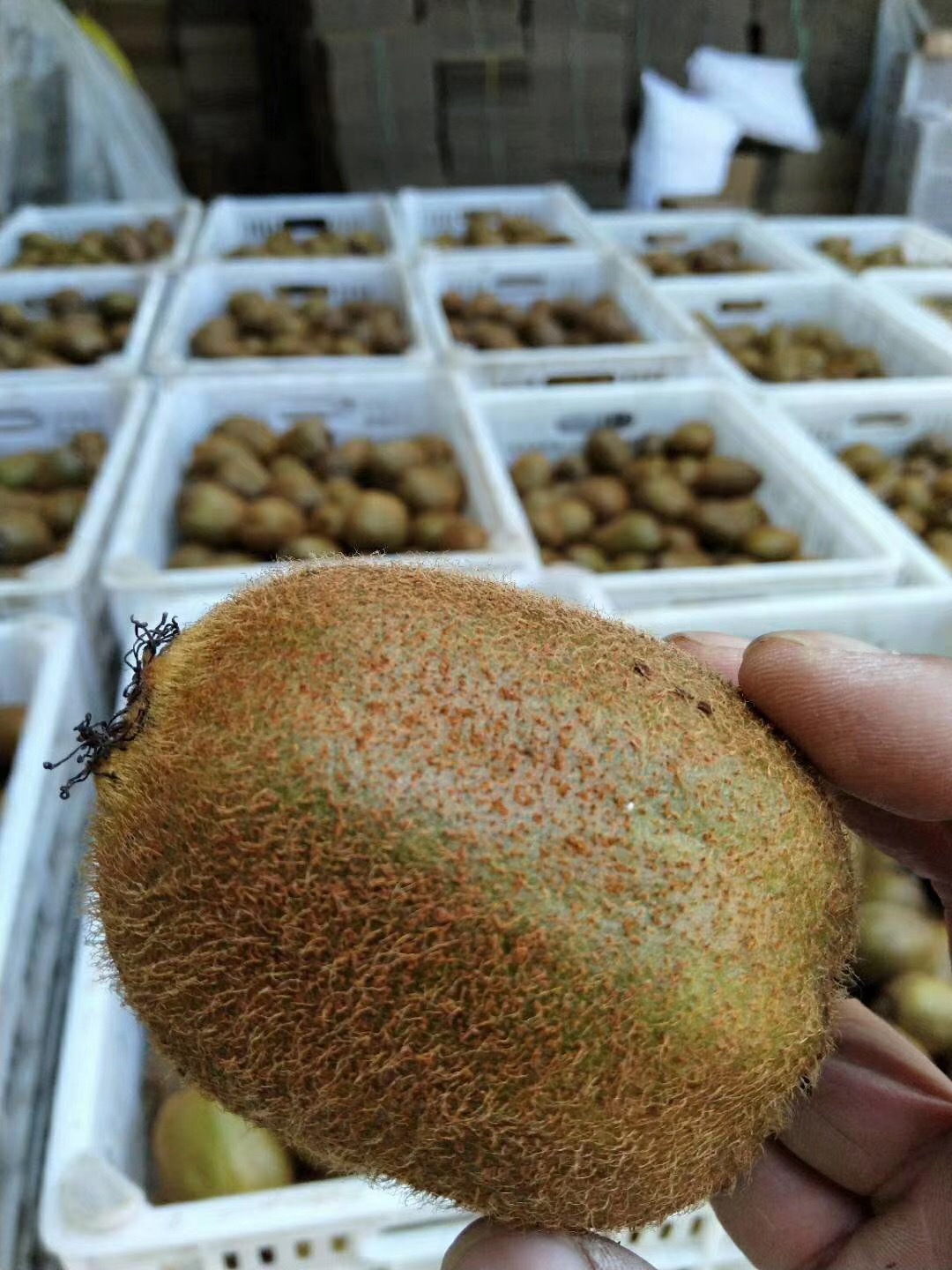 微信图片_20180906113714