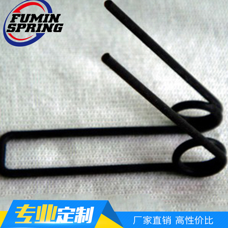 厂家直销 异形弹簧 健身器材 阀门弹簧 家用电器弹簧定制
