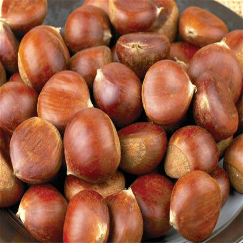 u=573747418,3075539733&