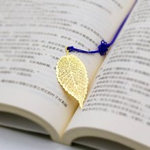 ���ٕ����Ї��L�����~�}���~���y�����S�~�����U���ľ�