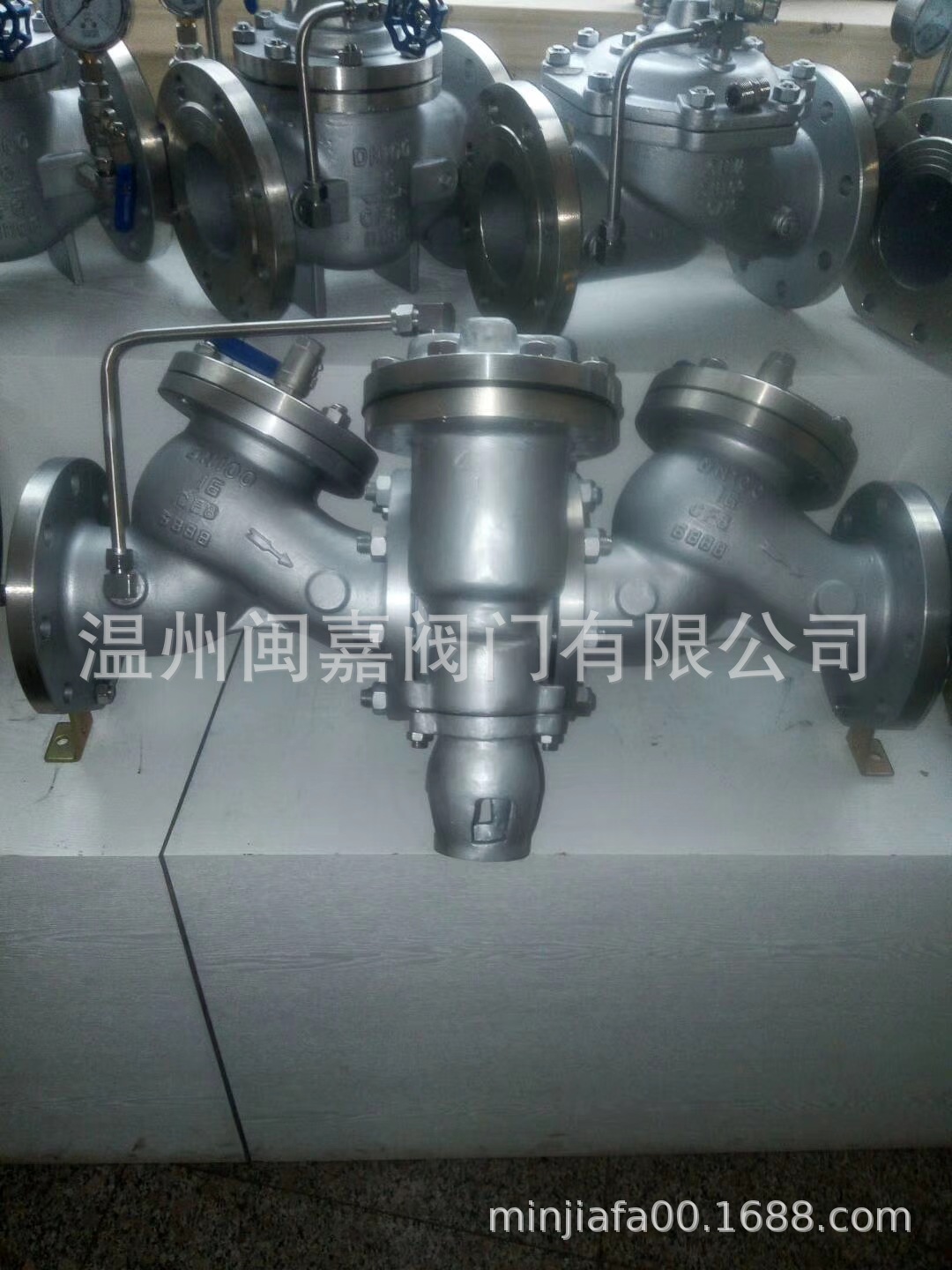 HS41X防污隔断阀/倒流防止器