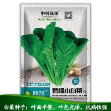 中科茂华蔬菜种子公司批发碧绿小白菜种子家庭园艺阳台500粒厂销