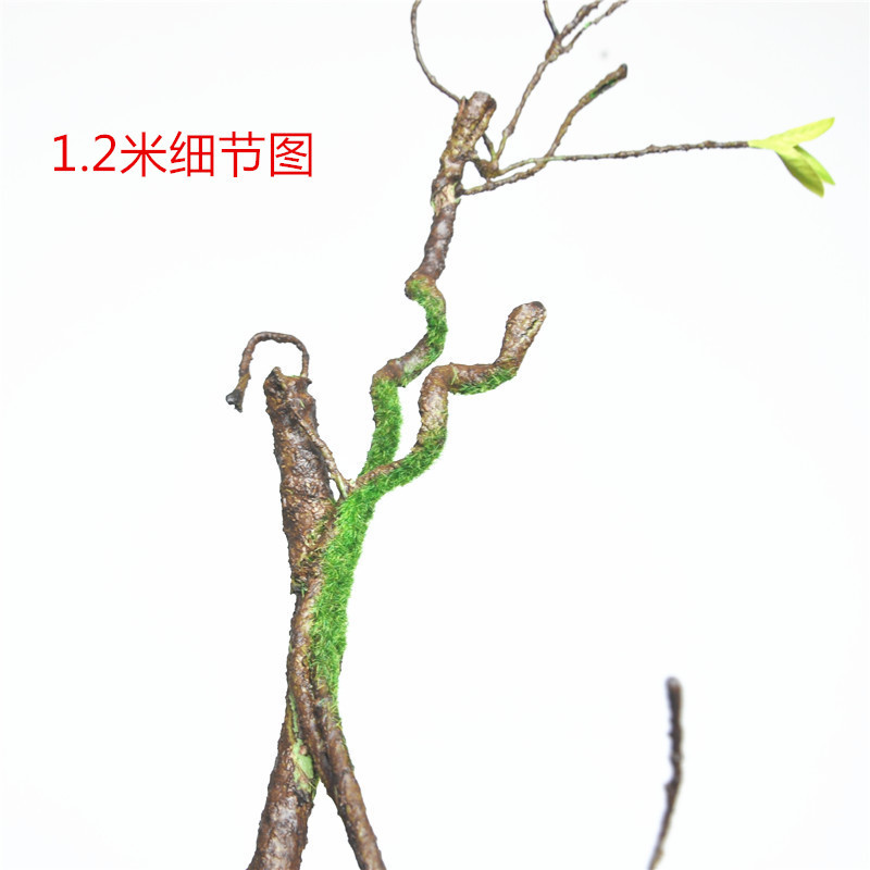 详情图