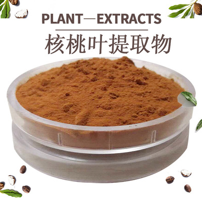 核桃叶提取物10：1核桃提取物 核桃核提取物 比例提取物 **