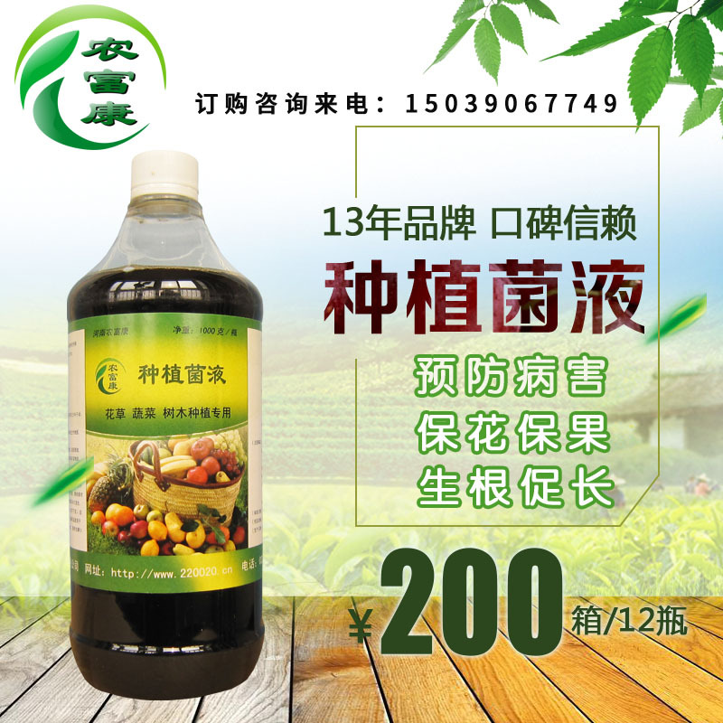 专业的EM益生菌原液，改良土壤并防病花肥