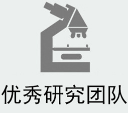 优秀研究团队