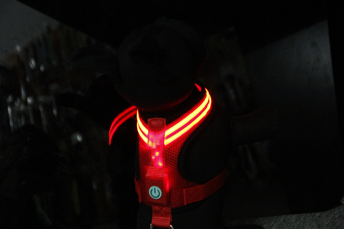 双光纤发光胸背带1200 (33).jpg