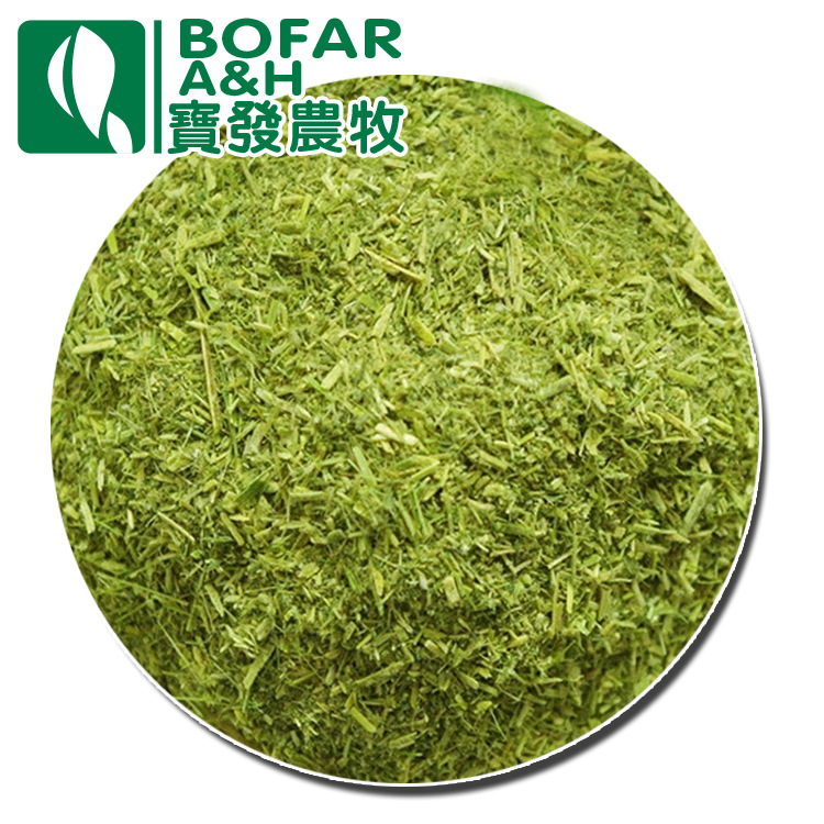 厂家基地种植牛羊马苜蓿草粉编织袋装青绿色饲草饲料碎草粉末批发