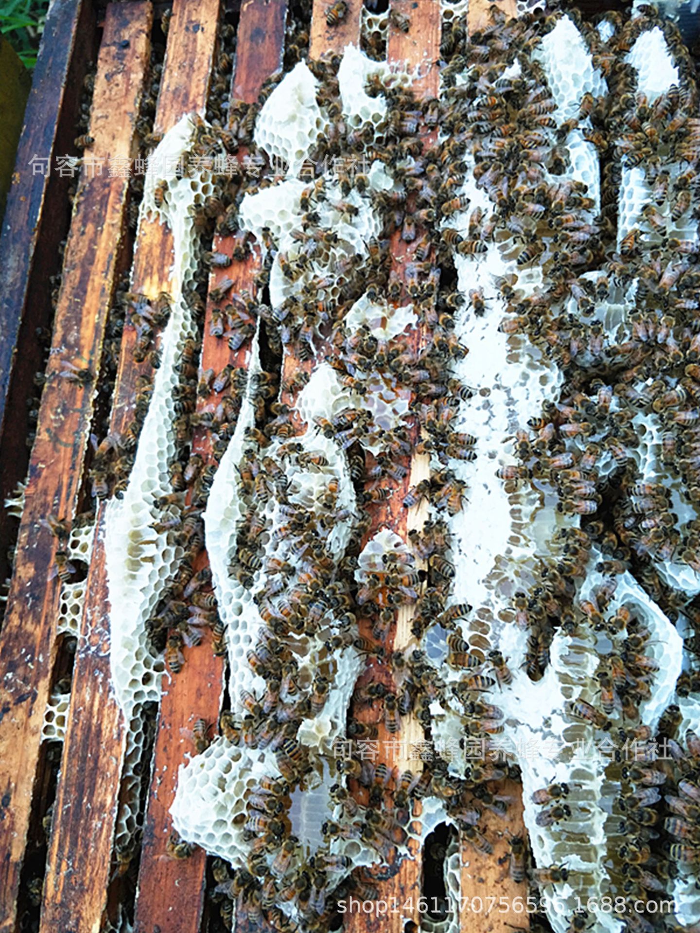 QQ图片20180521220046_副本