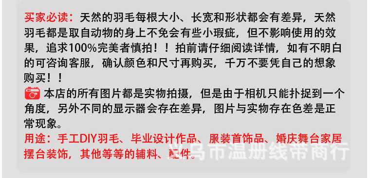 温册羽毛 厂家直销15-65cm天然山鸡尾七彩山鸡舞台演出剧组专用详情图16