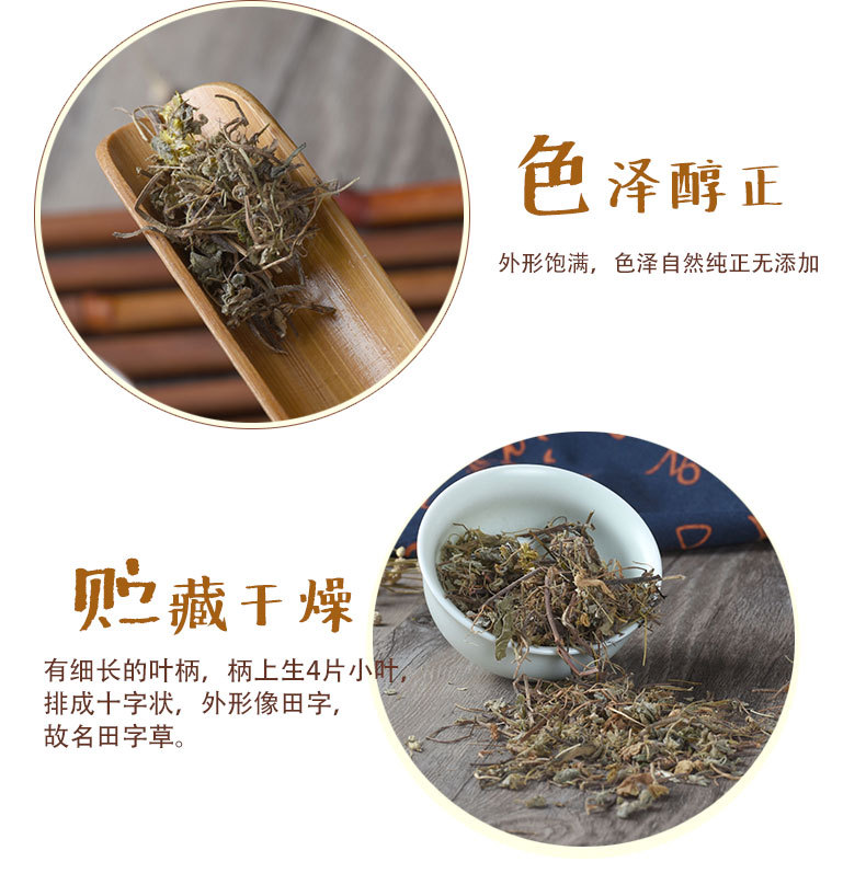Tian Zi Cao (Marsilea quadrifolia) — Dried Four-Leaf Clover Water Herb, 500g key features